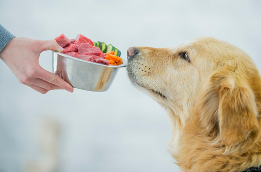 Advantages of Implementng a Raw Diet for Your Dog – Fortunate Paws